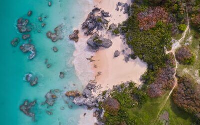 Our Commitment to Sustainability