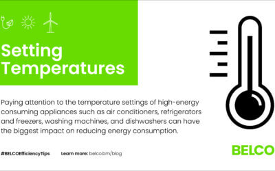 Energy Efficiency: Setting Temperatures