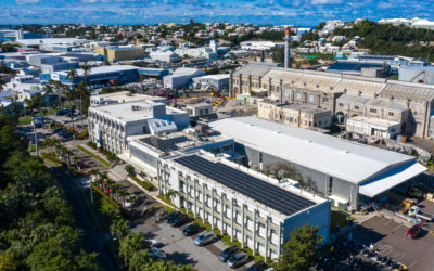 Going Green: BELCO’s Journey to Sustainability