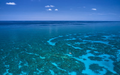 Year 1 Update: Our Commitment to Sustainability