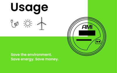 Energy Efficiency: AMI Meter Usage