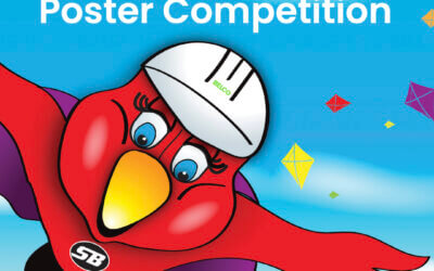 Kite Safety Competition Open for Entries
