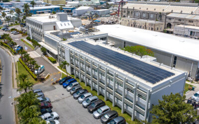 Ever Wondered Why Energy Storage is Key to The Success of Renewable Energy?