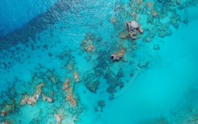 Year 3 Update: Our Commitment to Sustainability